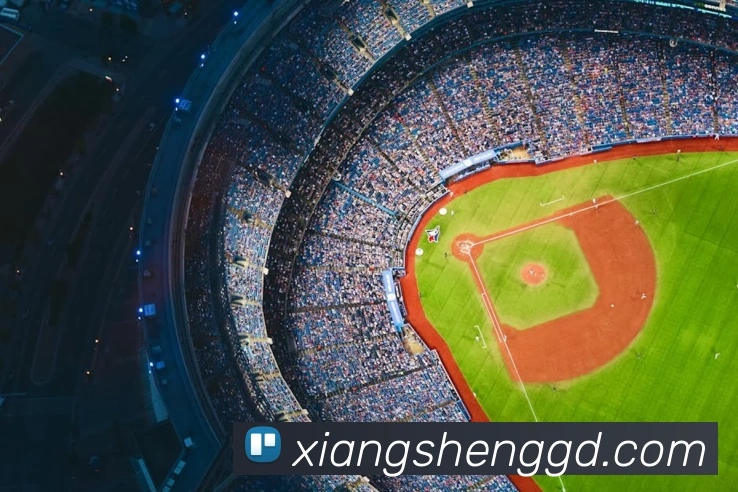 乐鱼网页版平台生态图